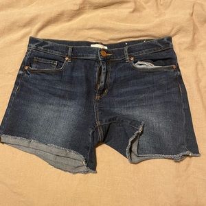 The LOFT Denim Shorts